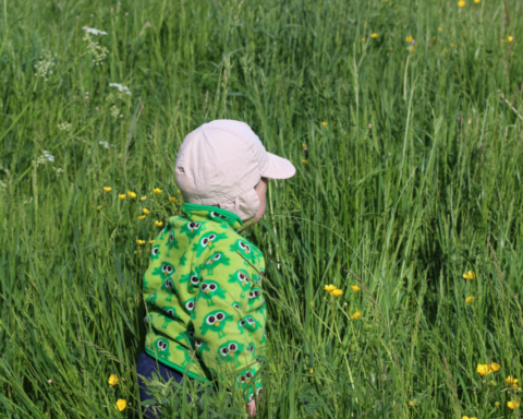 A photo of a small kid in a field