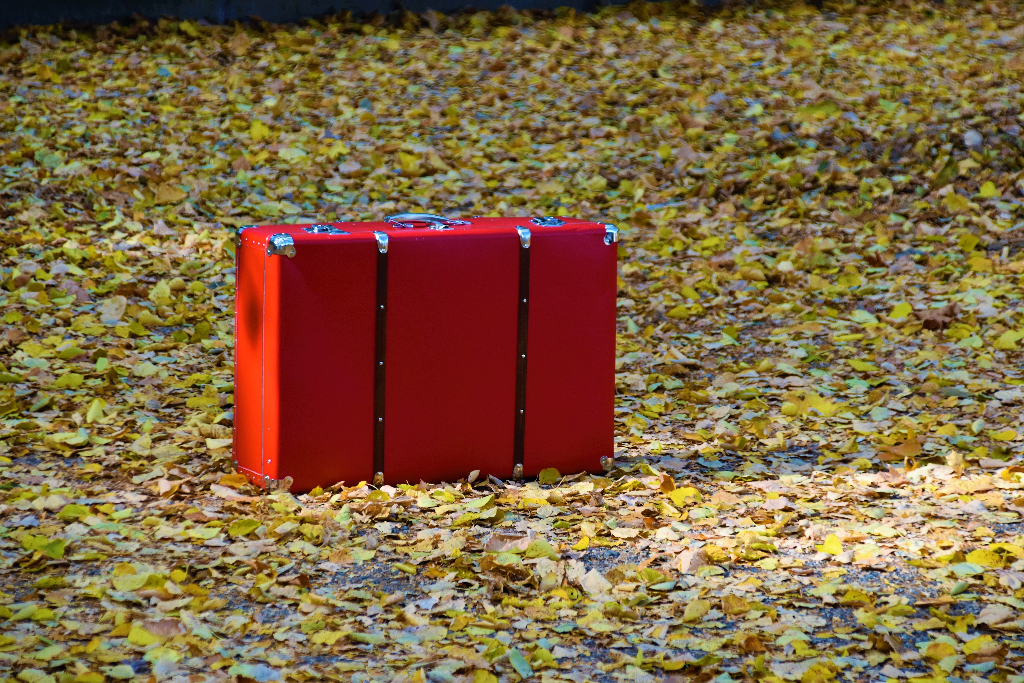 A bright red suitcase sits upon autumn leaves.